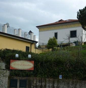Gli Ulivi Di Montalbano