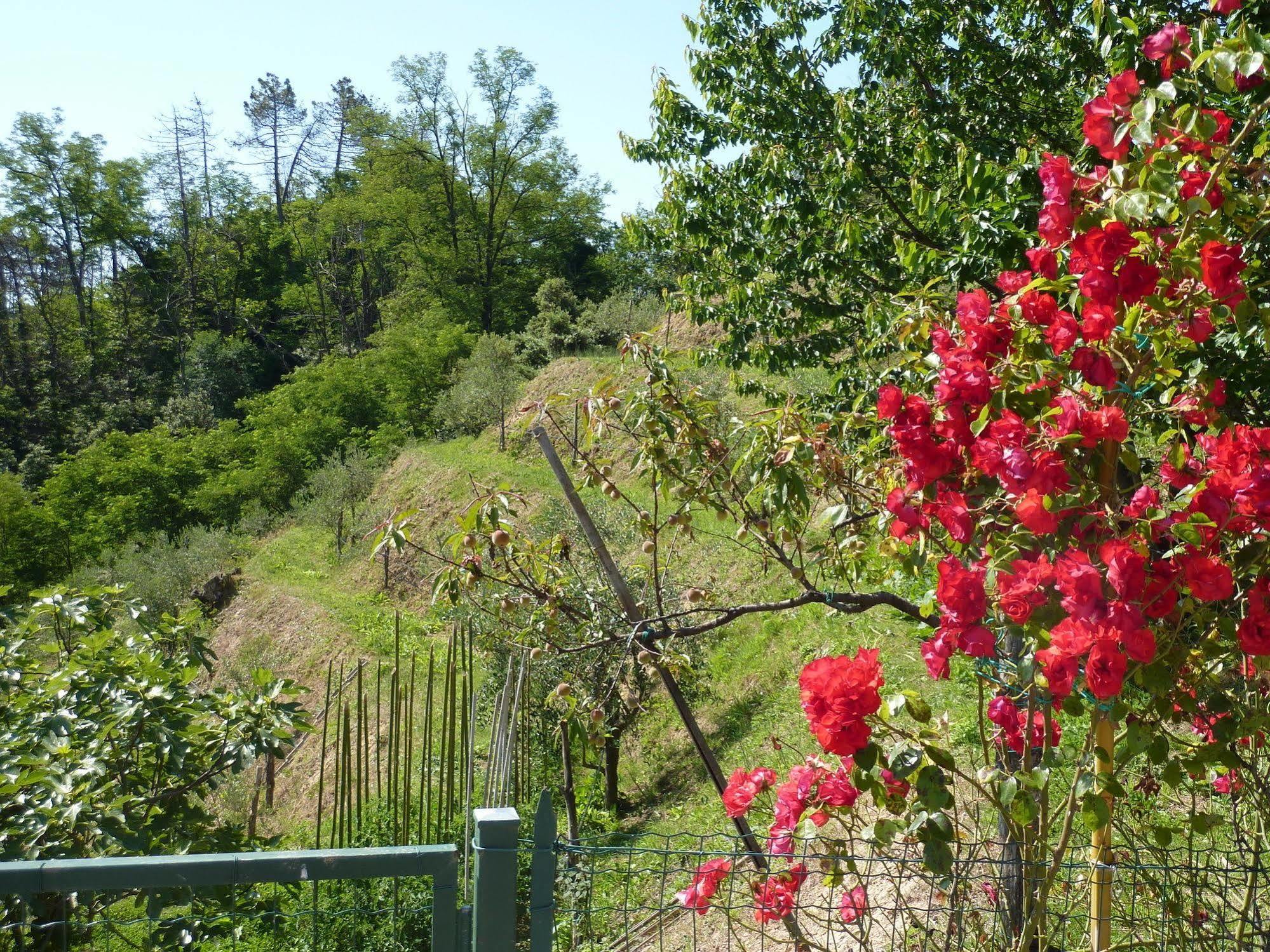Farm stay Gli Ulivi Di Montalbano *